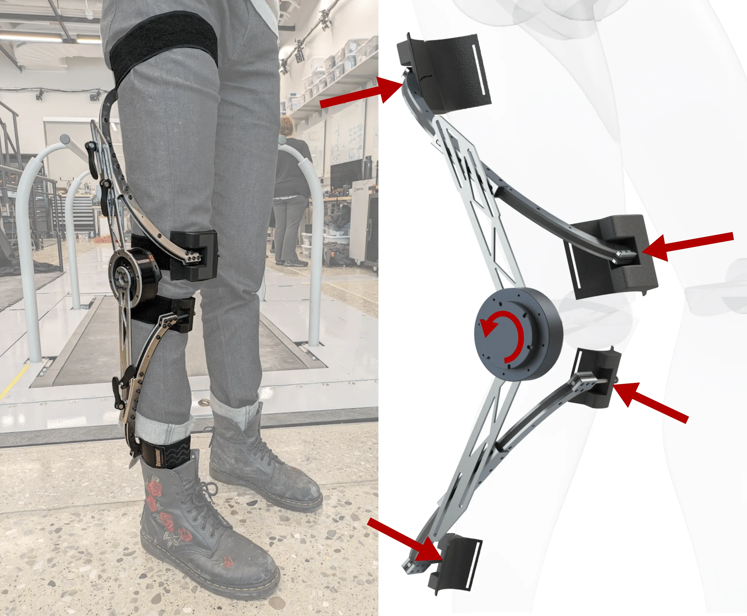 Human-Interface Dynamics of Knee Exoskeletons with Lateral and Anteroposterior Attachment